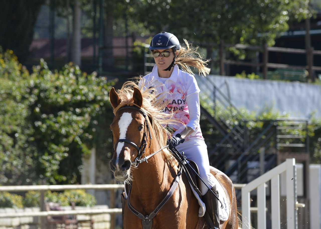 horse, sport, competition-3260153.jpg